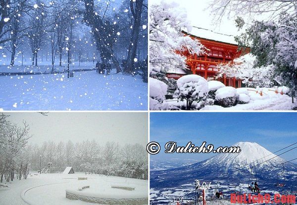 Thời điểm thích hợp nhất để du lịch Nhật Bản: Du lịch Nhật Bản mùa nào, tháng mấy đẹp nhất?