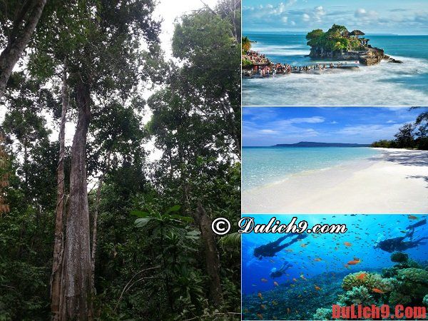 Kinh nghiệm du lịch đảo Koh Rong Samloem giá rẻ, siêu tiết kiệm: Hướng dẫn du lịch Koh Rong Samloem tự túc, thú vị nhất