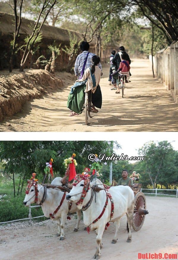 Những phương tiện đi lại phổ biến ở Bagan, Myanmar - Kinh nghiệm du lịch Bagan