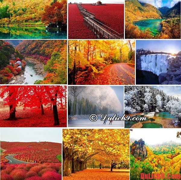 Nên du lịch ngắm cảnh mùa thu - đông ở đâu đẹp và tuyệt vời nhất?