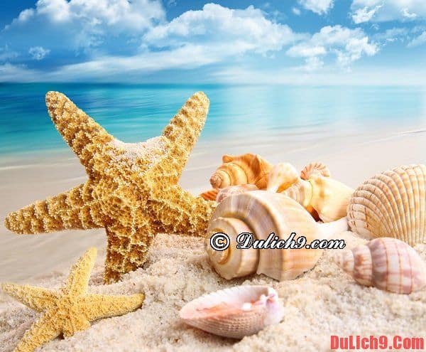 Du lịch biển đảo mùa đông: Những bãi biển nên đi nhất vào mùa đông ở Việt Nam