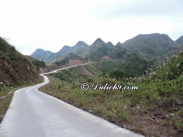 Đi đâu chơi, có gì hấp dẫn ở Bình Liêu? Kinh nghiệm du lịch Bình Liêu tự túc, giá rẻ