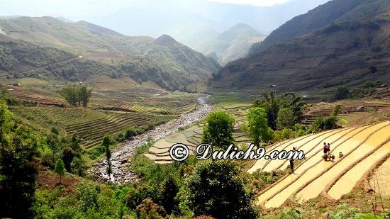 Nên đi những đâu chơi khi du lịch Yên Bái? Địa điểm tham quan, vui chơi hấp dẫn, nổi tiếng ở Yên Bái