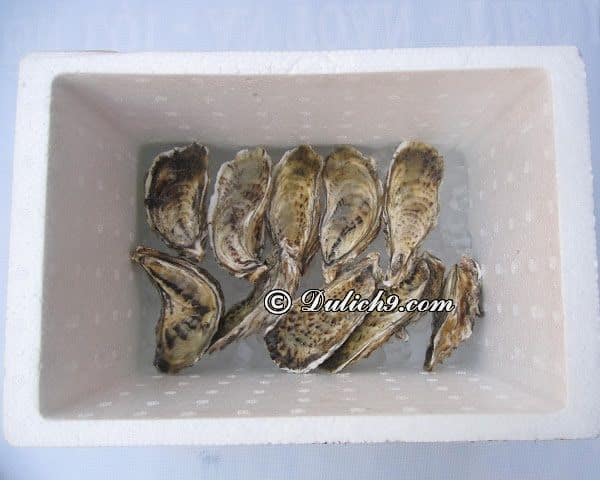 Kinh nghiệm mang hải sản tươi sống lên máy bay thuận lợi: Có được mang hải sản tươi sống lên máy bay không?