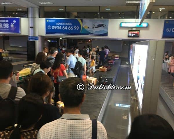 Mang hải sản tươi sống lên máy bay như thế nào? Hướng dẫn mang hải sản tươi sống lên máy bay và kinh nghiệm mua hải sản mang lên máy bay