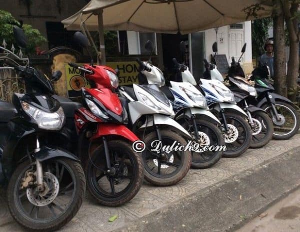 Địa điểm cho thuê xe máy ở Mộc Châu: Thuê xe máy ở đâu Mộc Châu?