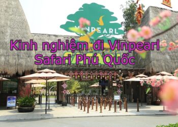 Kinh nghiệm đi Vinpearl Safari Phú Quốc kèm giá vé mới nhất. Đi Vinpearl Safari có gì chơi?
