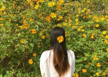 Kinh nghiệm du lịch Ba Vì, du lịch Ba Vì có gì hấp dẫn?