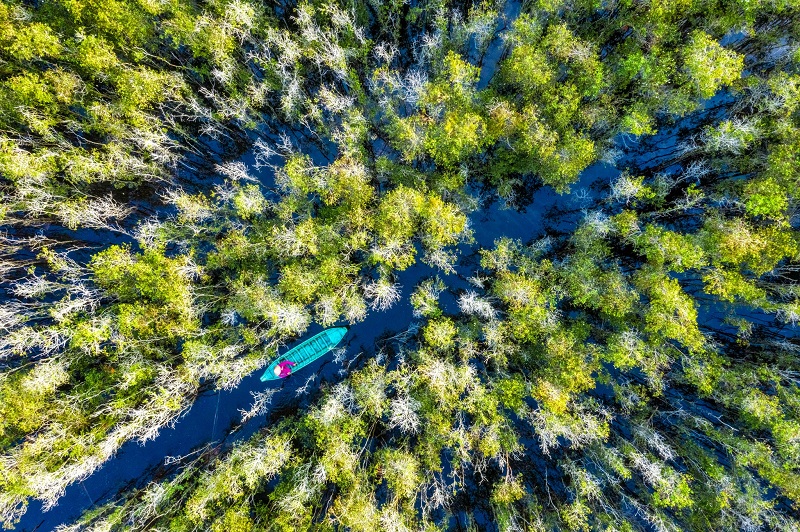 Vườn quốc gia Tràm Chim (Đồng Tháp)