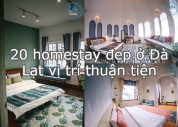 Homestay đẹp ở Đà Lạt giá rẻ, tiện nghi. Nên ở homestay nào Đà Lạt? Cobe Homestay Đà Lạt