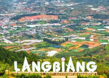 Những lý do nên mua tour du lịch Đà Lạt