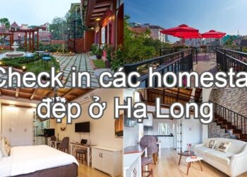Homestay nào đẹp ở Hạ Long. Homestay Hạ Long có ăn sáng. Litte Colmar Boutique Hạ Long Homestay