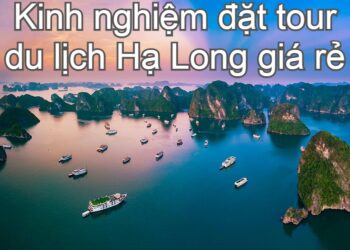 Kinh nghiệm đặt tour du lịch Hạ Long giá rẻ. Nên đi tour du lịch Hạ Long nào?