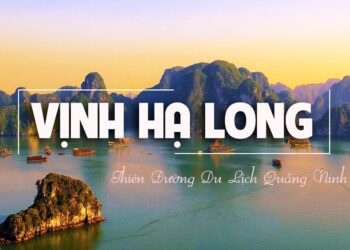Du lịch Hạ Long 1 ngày, vịnh Hạ Long là điểm đến rất yêu thích