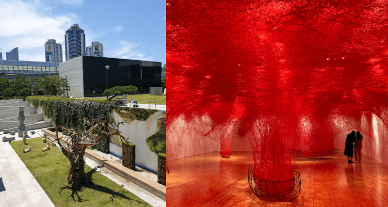 Lịch trình du lịch Busan 2 ngày 1 đêm