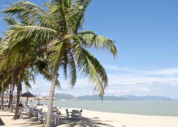 Inforgraphic Kinh nghiệm du lịch Nha Trang