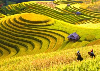 Địa điểm du lịch Tây Bắc Việt Nam