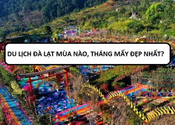 Du lịch Đà Lạt mùa nào, tháng mấy đẹp nhất?