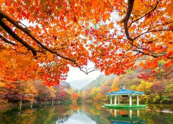 Du lịch Hàn Quốc dịp thu sang