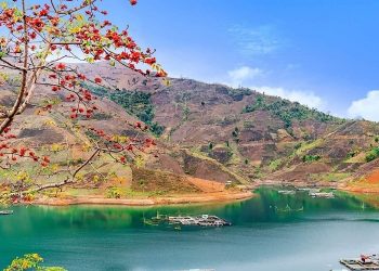 Giải đáp: Nên du lịch Mộc Châu vào mùa nào, tháng mấy?