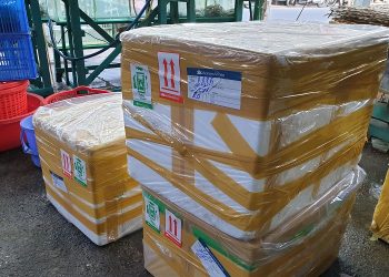Hướng dẫn cách mang hải sản tươi sống lên máy bay chi tiết
