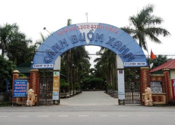 Kinh nghiệm đi khu du lịch sinh thái cánh buồm xanh