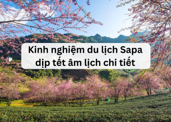 Kinh nghiệm du lịch Sapa dịp tết âm lịch, tết nguyên đán tự túc, giá rẻ