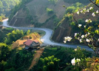 Kinh nghiệm du lịch Sơn La tự túc, giá rẻ