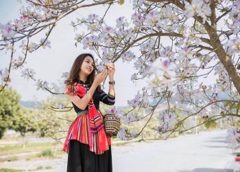 Kinh nghiệm, gợi ý lịch trình du lịch Tây Bắc mùa hoa ban nở