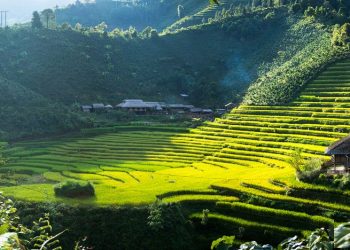 Kinh nghiệm du lịch phượt Bắc Hà