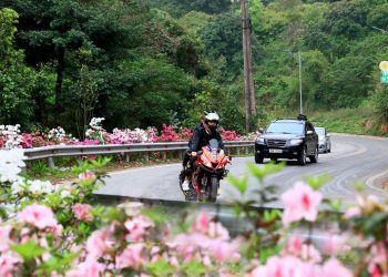 Phượt Tam Đảo từ Hà Nội đi như thế nào?