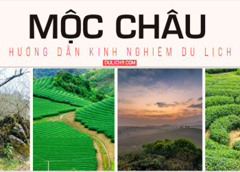 Kinh nghiệm du lịch Mộc Châu tự túc