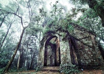 Kinh nghiệm đi vườn quốc gia Ba Vì