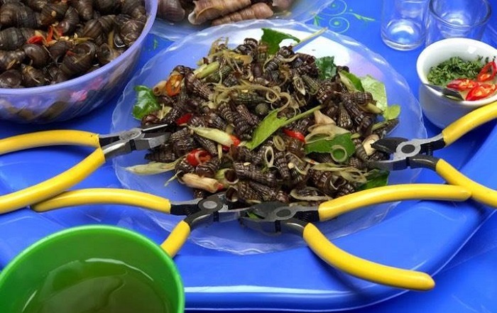 Món ăn đặc sản Thanh Hóa. Món ăn nổi tiếng ở Thanh Hóa