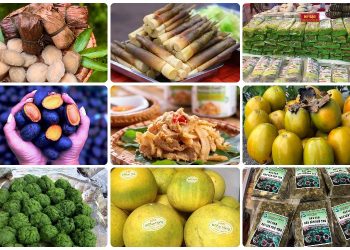 Top những món đặc sản Phú Thọ làm quà