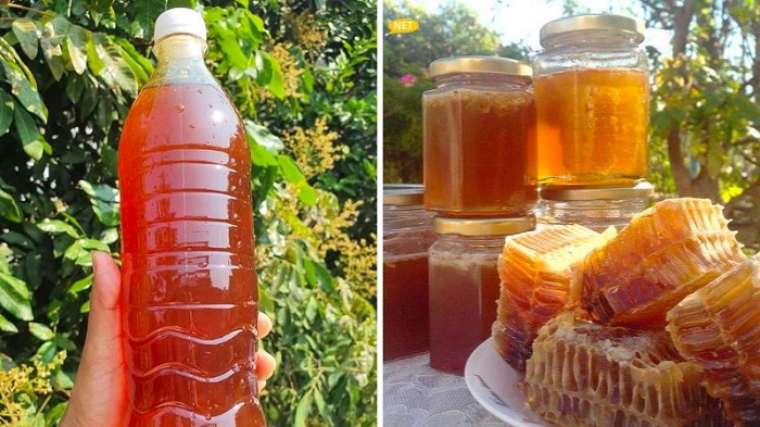 Đặc sản Hưng Yên làm quà. Ở Hưng Yên mua gì làm quà