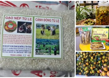 Đặc sản Yên Bái làm quà. Đặc sản Yên Bái làm quà nổi tiếng