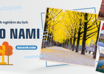 Kinh nghiệm du lịch đảo Nami, Hàn Quốc