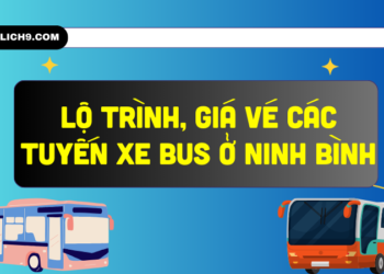 Thông tin lộ trình, giá vé các tuyến xe bus ở Ninh Bình mới nhất