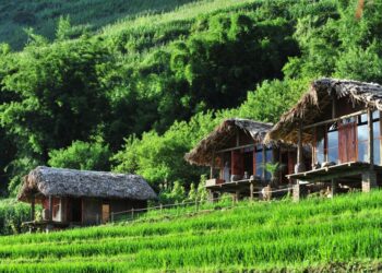 Homestay ở bản Tả Van. Phori House