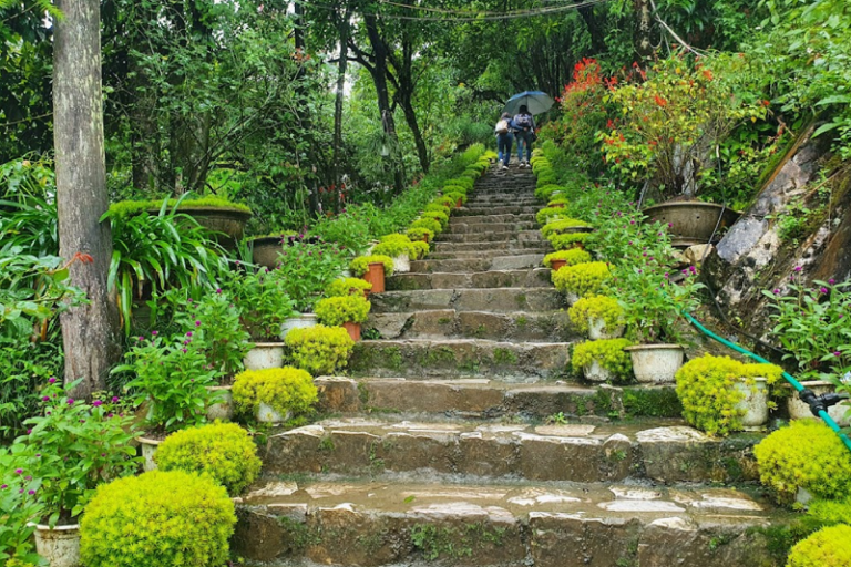 Review núi Hàm Rồng Sapa 2026: giá vé, truyền thuyết, cảnh đẹp