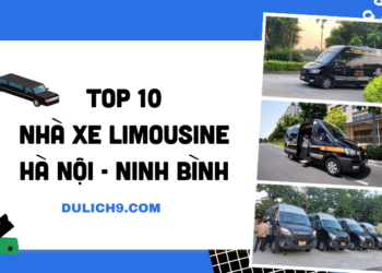 Thông tin các nhà xe limousine Hà Nội Ninh Bình kèm giá vé, điện thoại mới nhất.