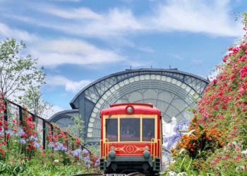 Giới thiệu về tàu hỏa leo núi Mường Hoa