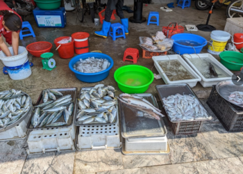 Mua hải sản ở đâu Hạ Long? Chợ Hùng Thắng