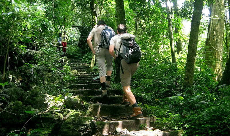 Review du lịch Ninh Bình. Địa điểm tham quan, vui chơi đẹp. VQG Cúc Phương