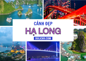 Top những cảnh đẹp Hạ Long nổi bật nhất