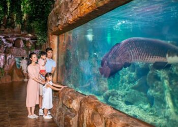 Nhờ các mẹ tư vấn: Địa điểm vui chơi cho bé dịp 1/6 ở Hà Nội