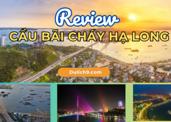 Review, check in cầu Bãi Cháy Hạ Long có gì đẹp?