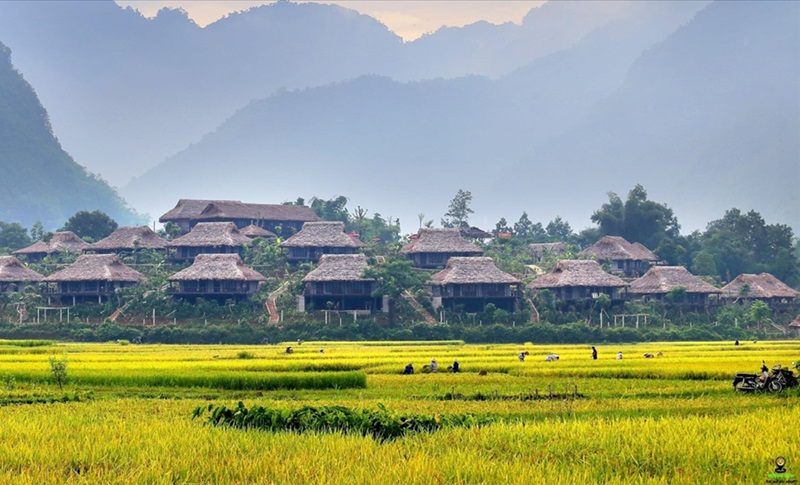 Địa điểm du lịch Mai Châu. Ở Mai Châu nên đi đâu