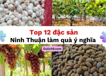 Đặc sản Ninh Thuận làm quà. Đặc sản Ninh Thuận làm quà ý nghĩa